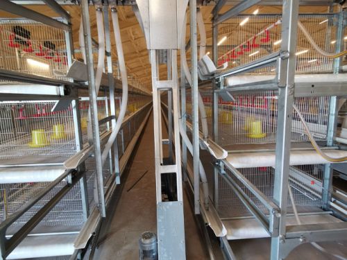 航車自動喂料機